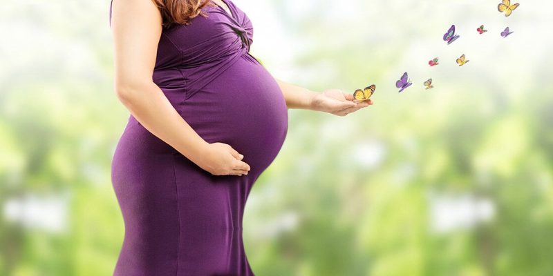 EGG DONATION IN DENMARK AND HOW TO FIND SURROGATE MOTHER IN HOLLAND - Daily Live Tech
