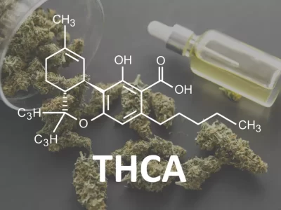 Understanding THCA: A Complete Overview - Daily Live Tech